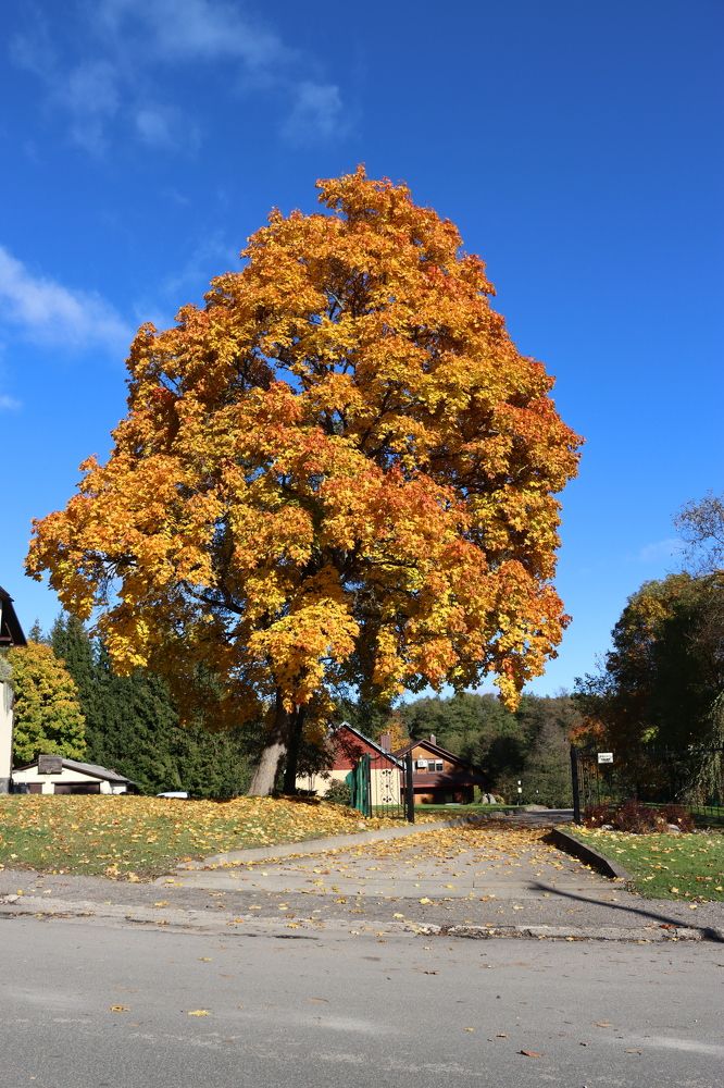 Photograph by Inna Klimaševska