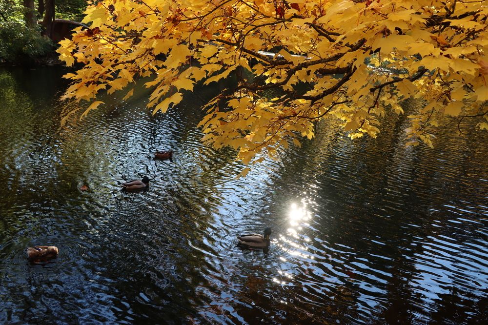 Photograph by Inna Klimaševska