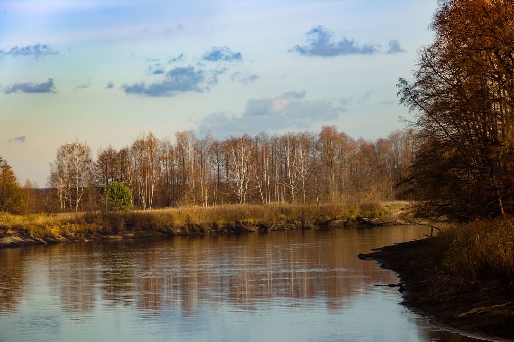 Фотография автора Запертова Елена