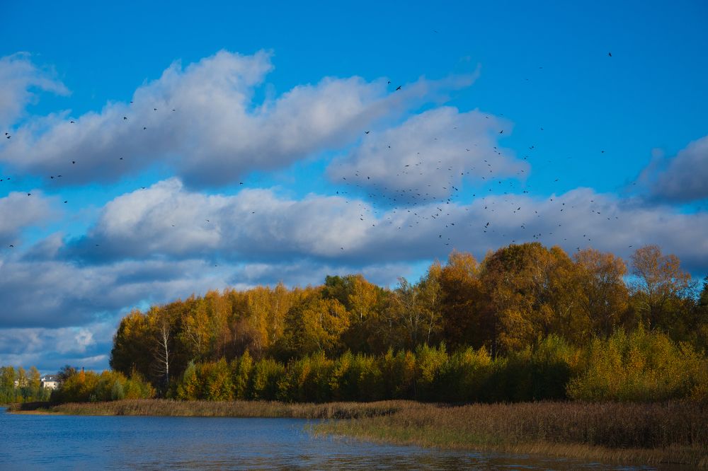 Photograph by Ксения Малютина