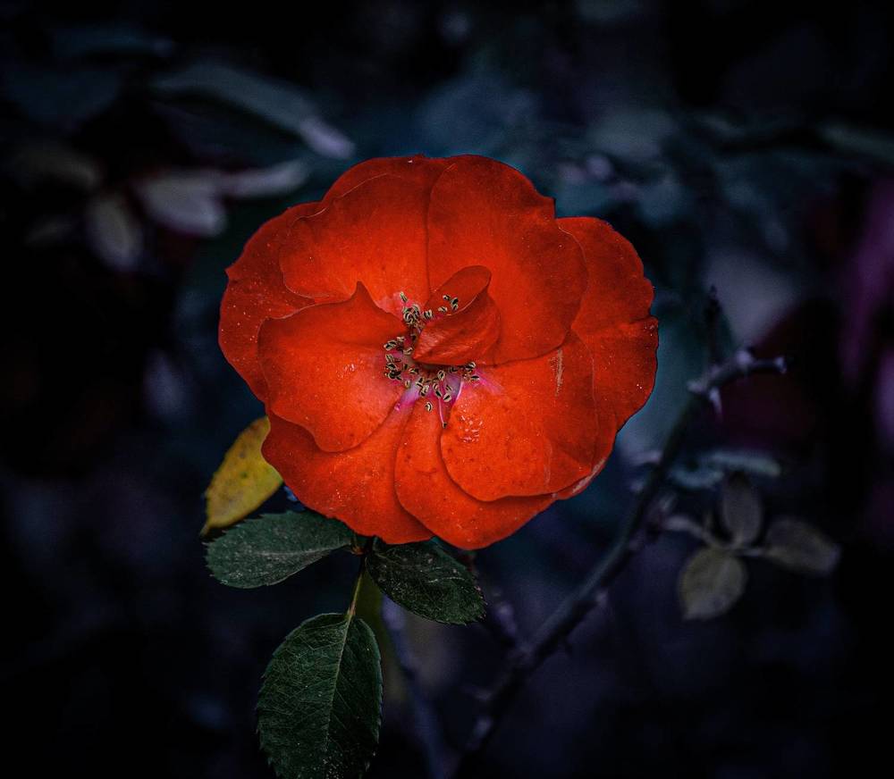 Photograph by Silvina Sánchez