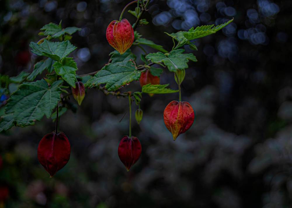 Photograph by Silvina Sánchez