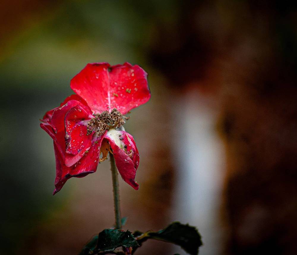 Photograph by Silvina Sánchez