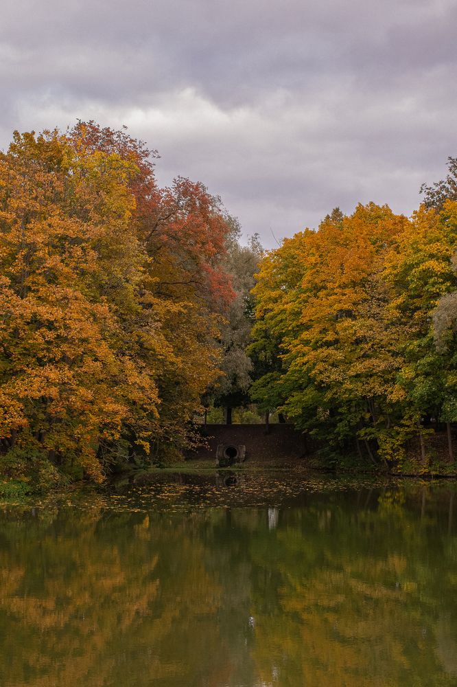Photograph by Ксения Чумакова