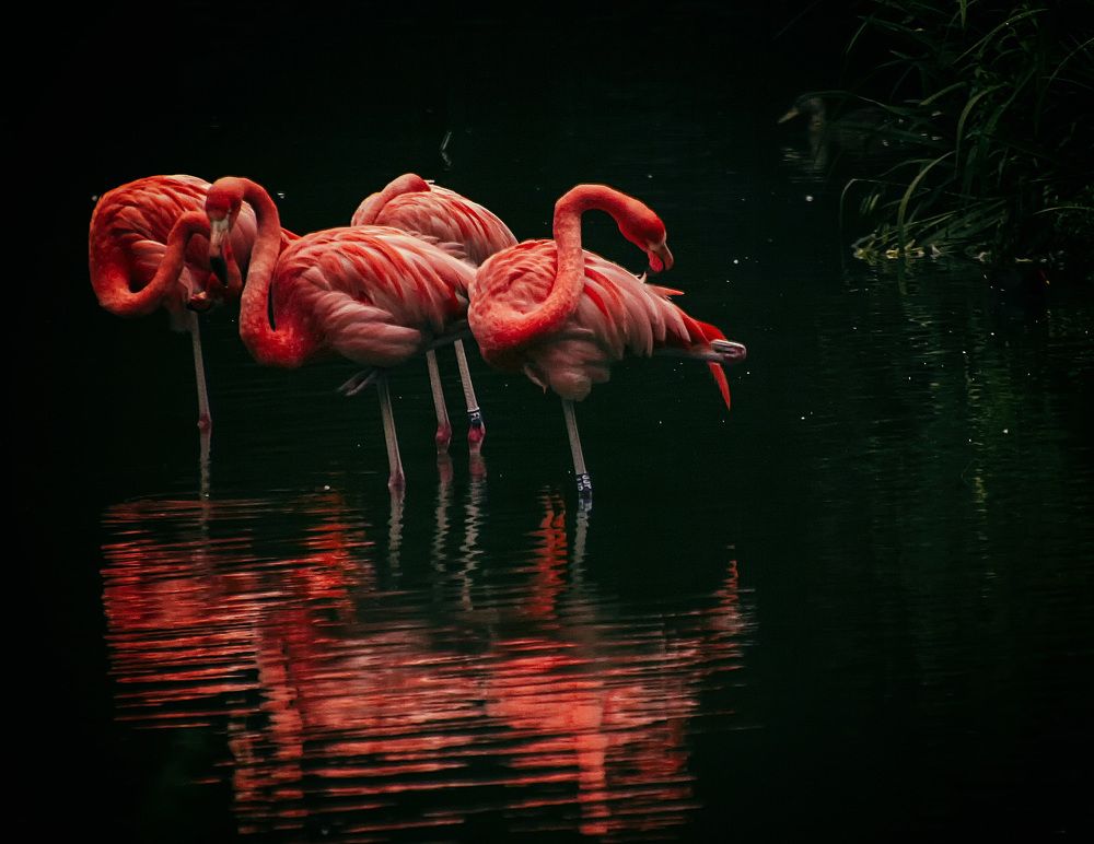 Photograph by Александр