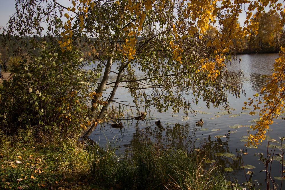 Фотография автора Запертова Елена