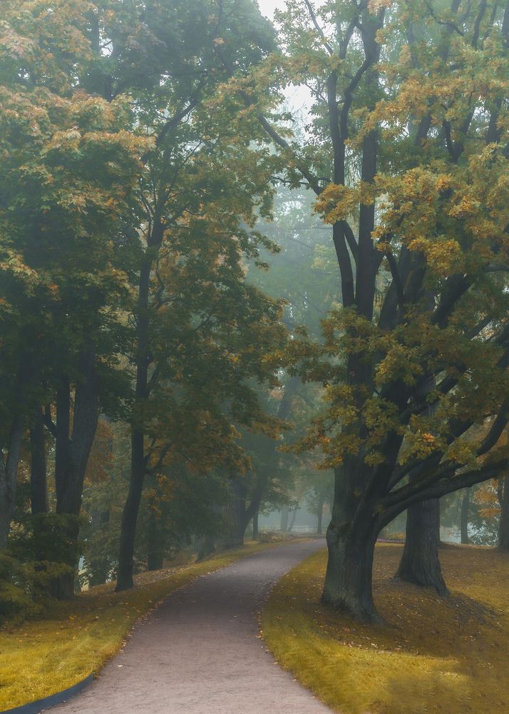 Photograph by Армашов-Тельник Григорий