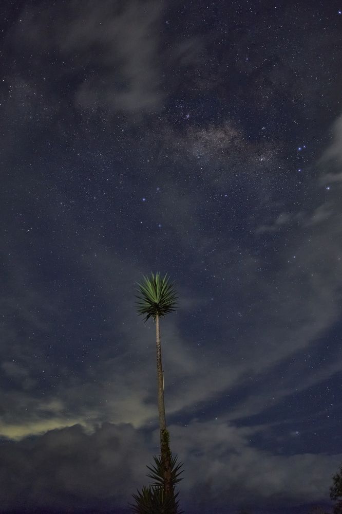 Photograph by Luis Manuel Jiménez Tabares
