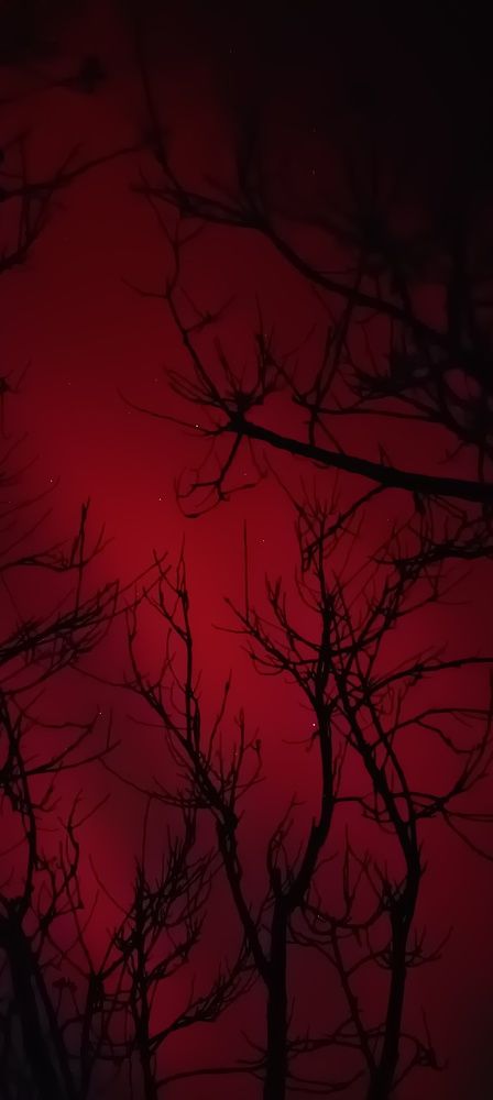 Photograph by Наталья