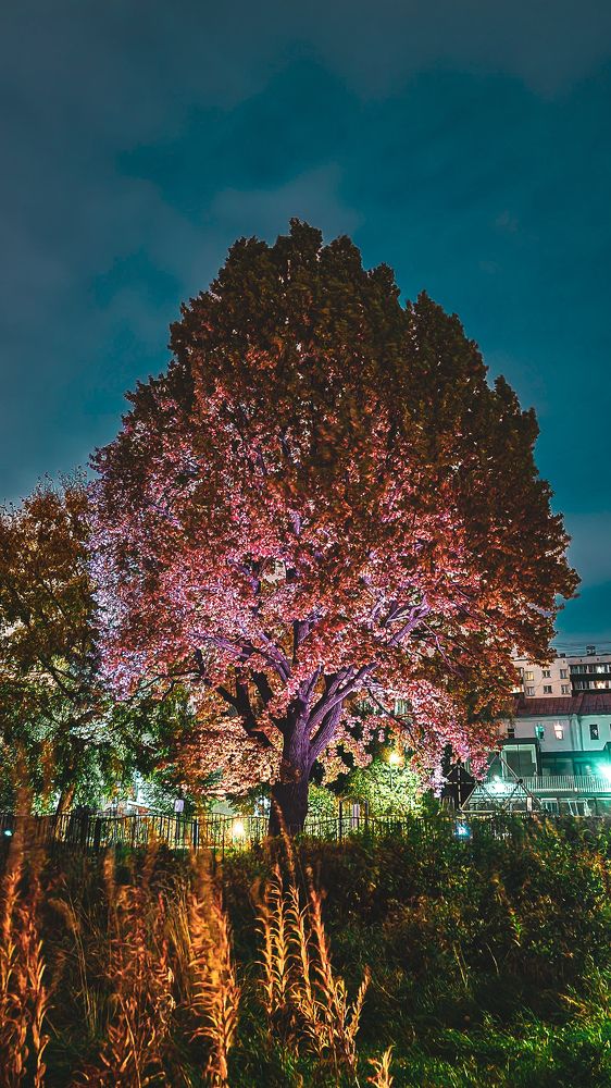 Фотография автора Всеволод Юрша