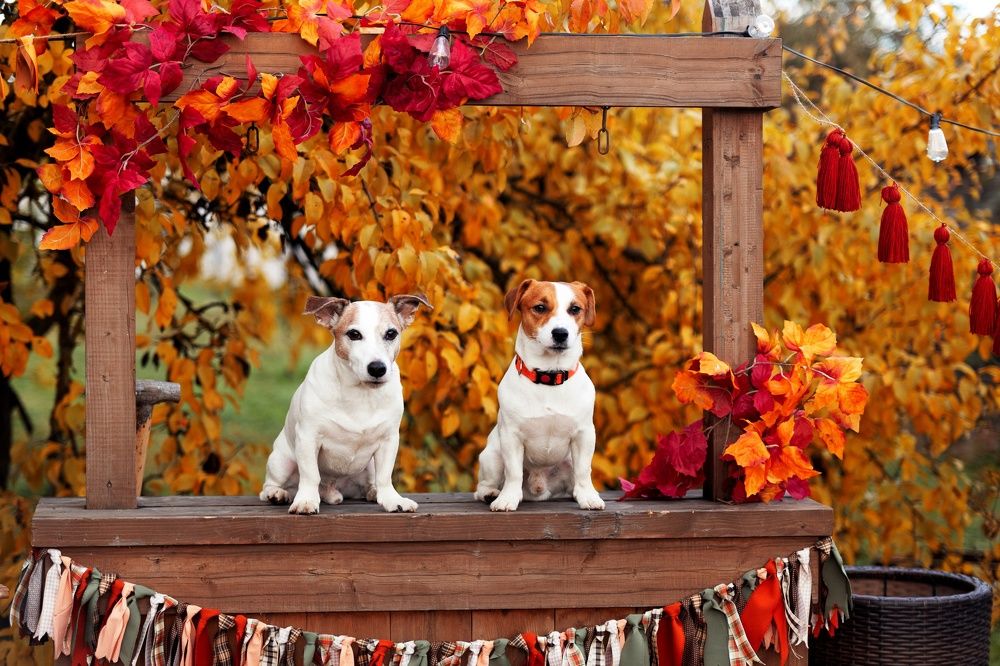 Photograph by Ольга