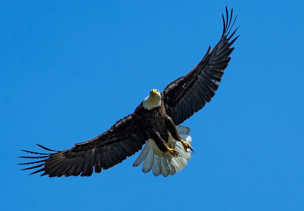 Photograph by Nitin Baste