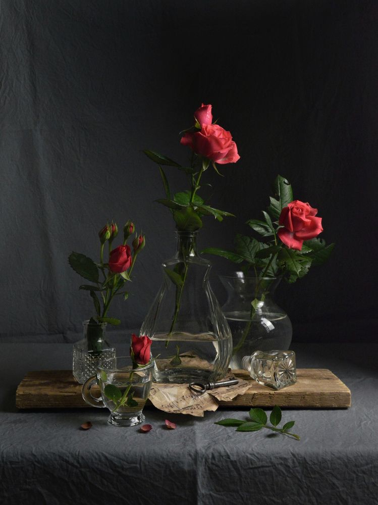 Photograph by Дина Полухина