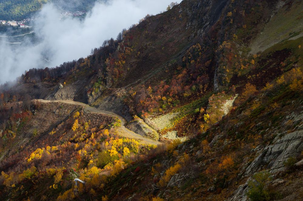 Photograph by Максим Захаров