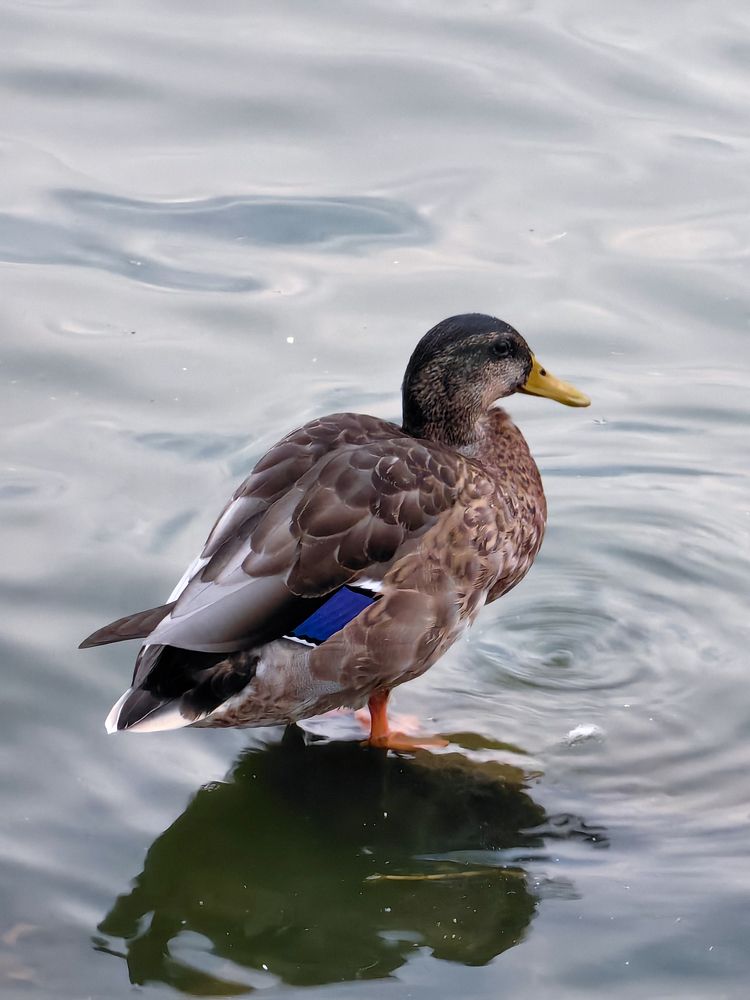 Photograph by Veranika Siratsinina