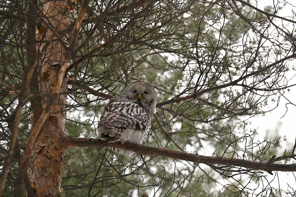 Photograph by Наталья