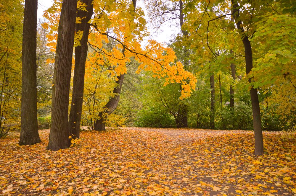 Photograph by Светлана Муравьева