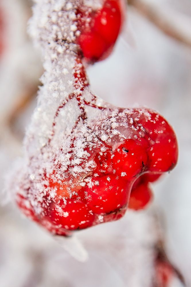 Photograph by Голованов Николай