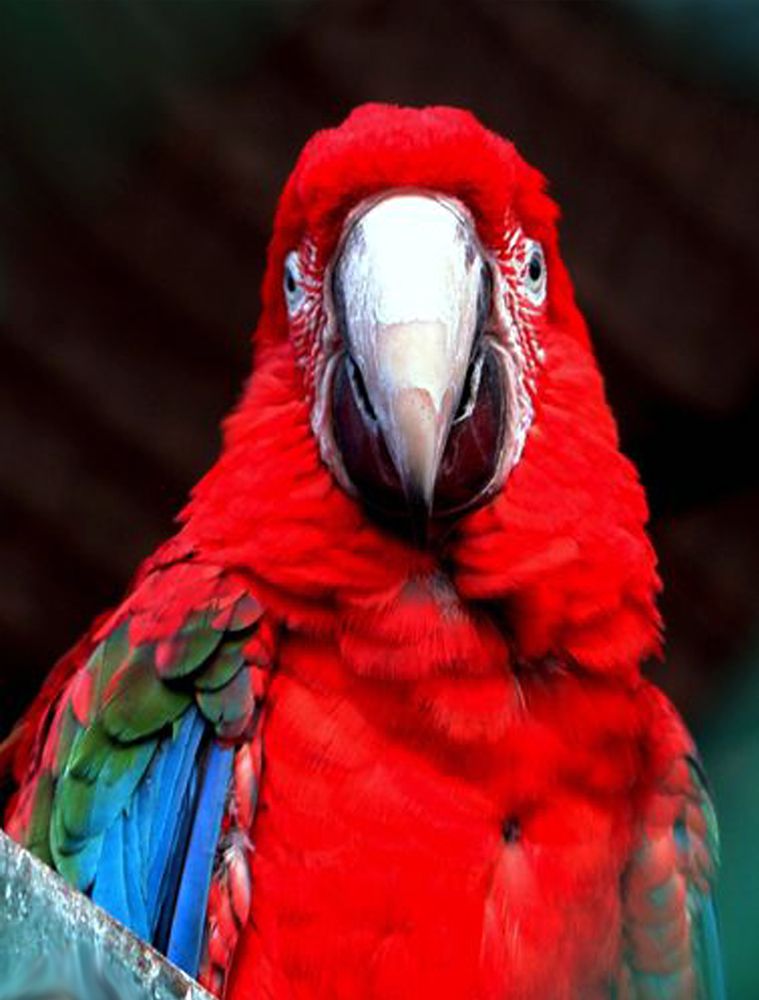 Photograph by الساعدي غيث