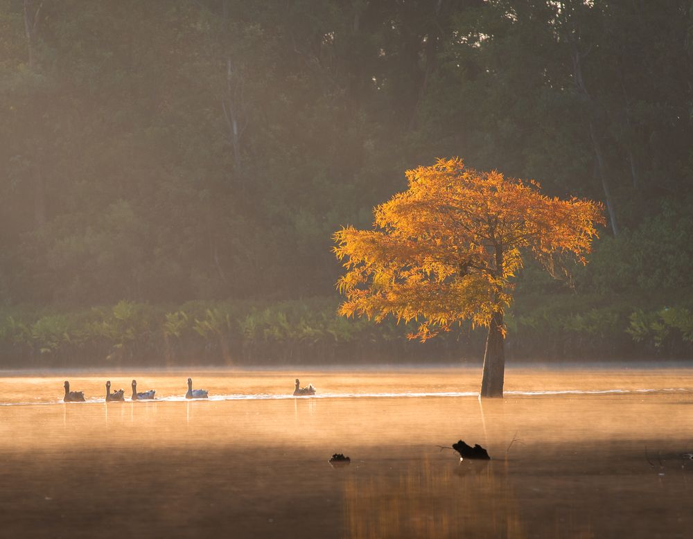 Photograph by Valdir Hobus