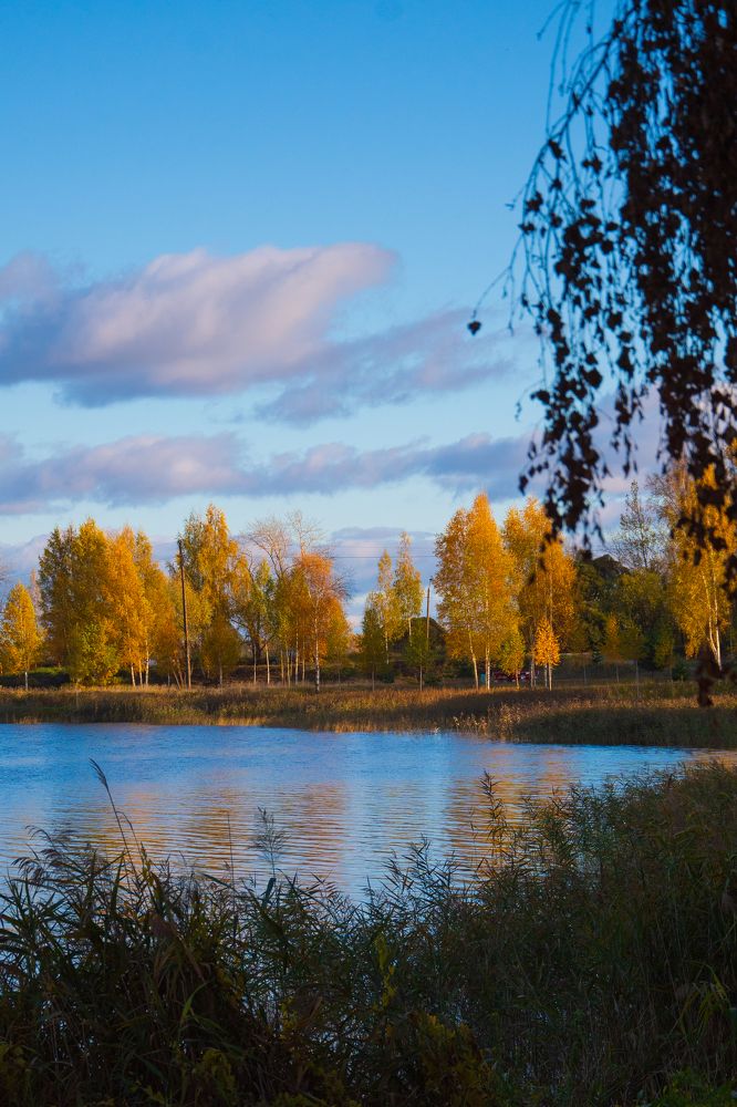 Photograph by Ксения Малютина