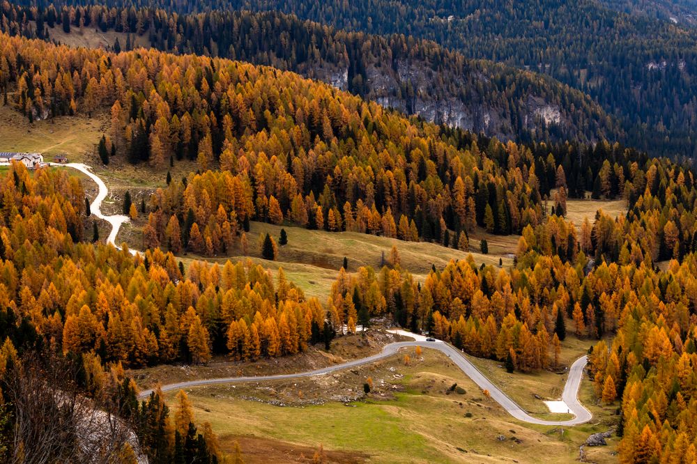 Photograph by Евгения Чех