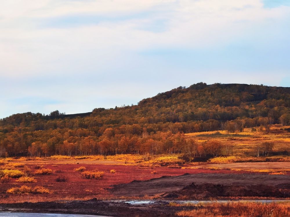 Photograph by Алексей Швайка