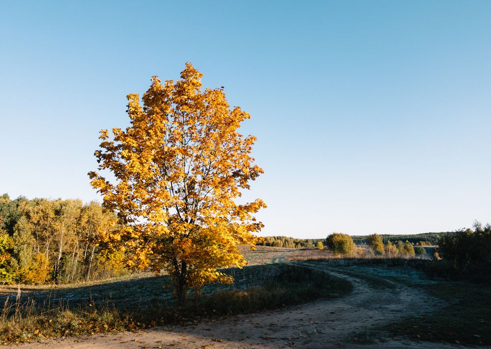 Photograph by Vitaliy