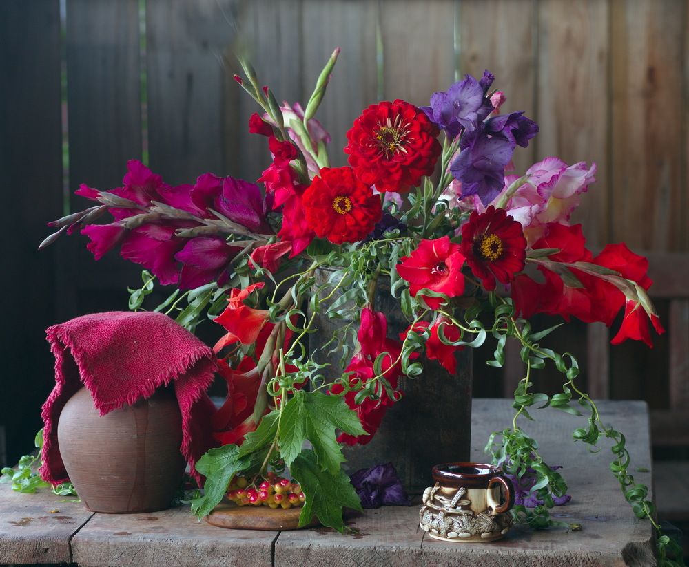 Фотография автора Петровна Валентина