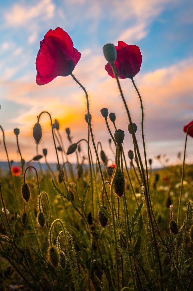 Photograph by KRITER AHMED