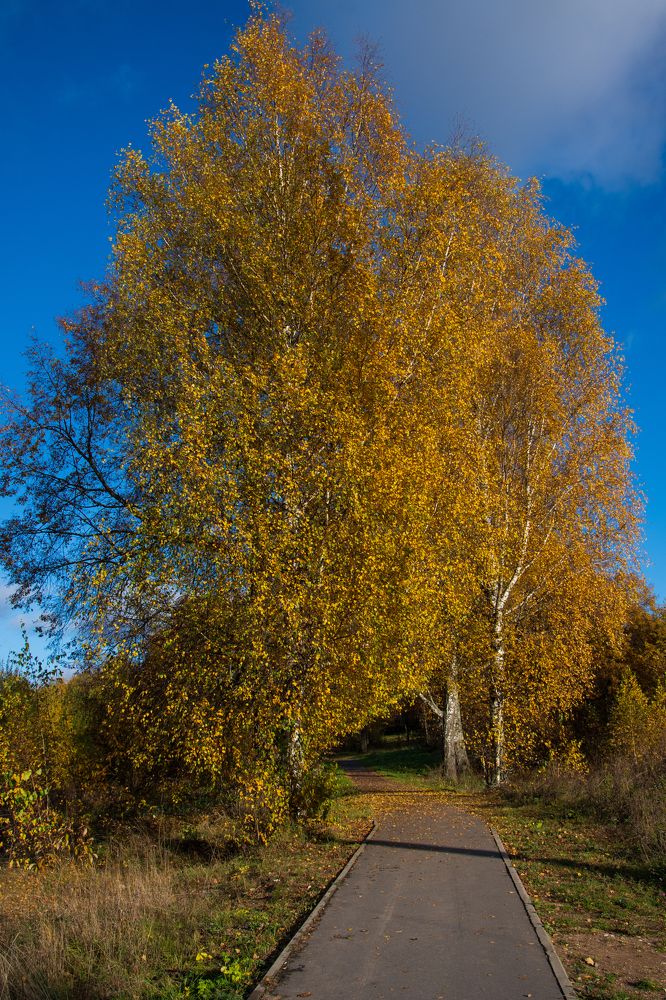 Photograph by Ксения Малютина