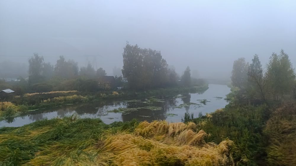 Photograph by Владимир Ковжаров