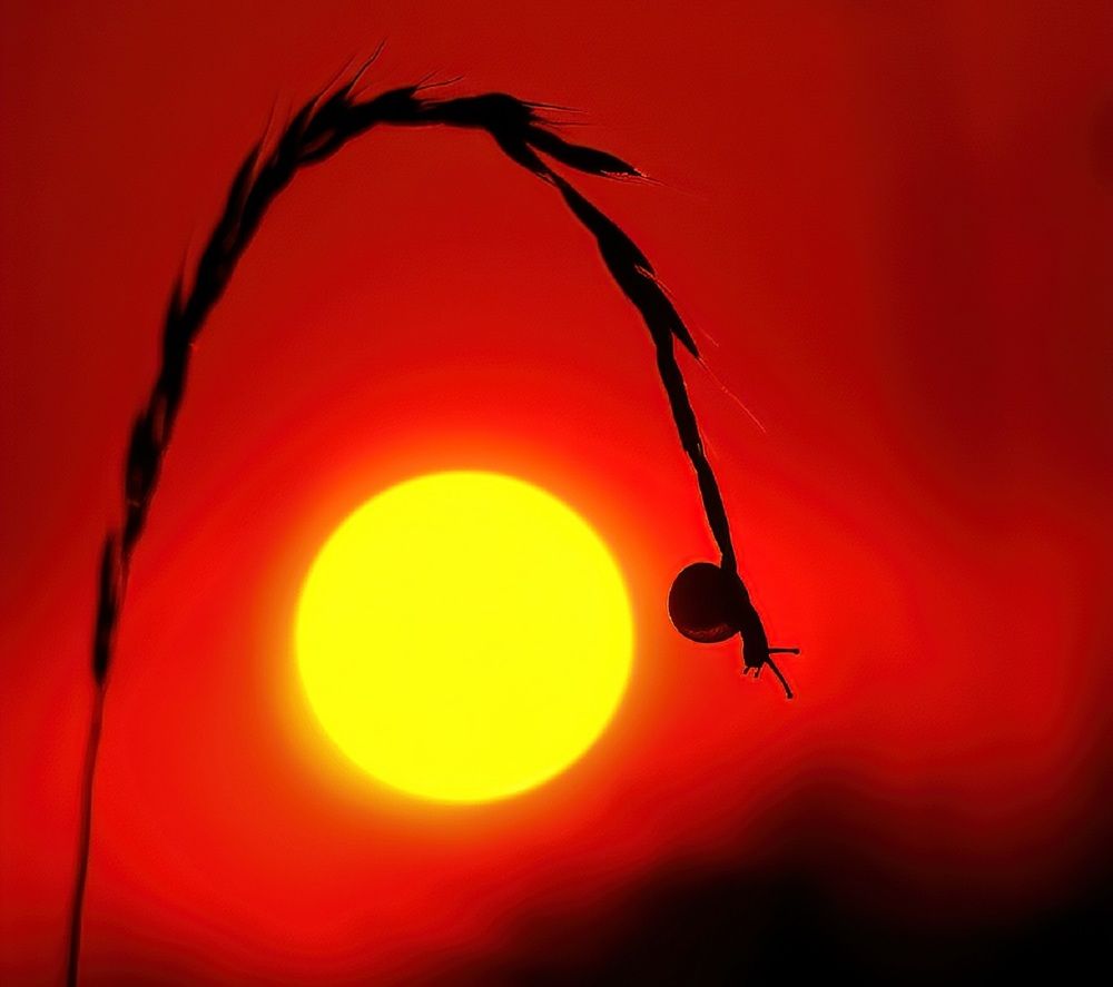 Photograph by Владимир