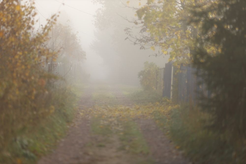 Фотография автора Станислава Гордеева