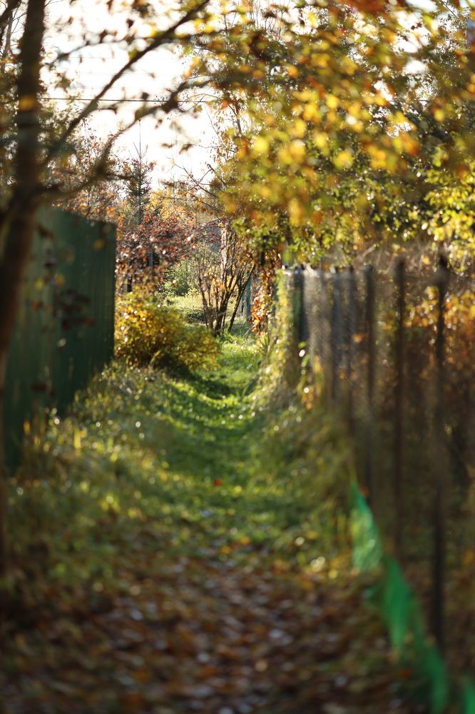 Фотография автора Станислава Гордеева