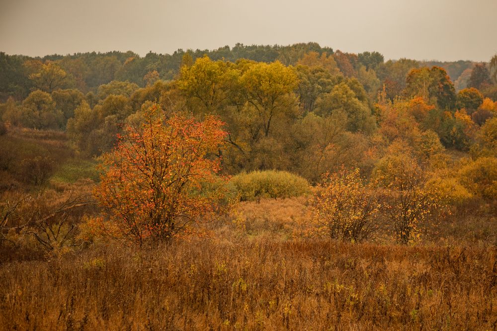 Photograph by Ольга Гаврилова