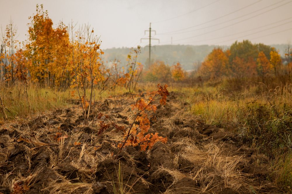 Photograph by Ольга Гаврилова