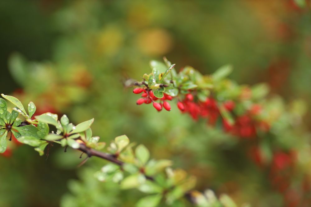 Фотография автора Станислава Гордеева