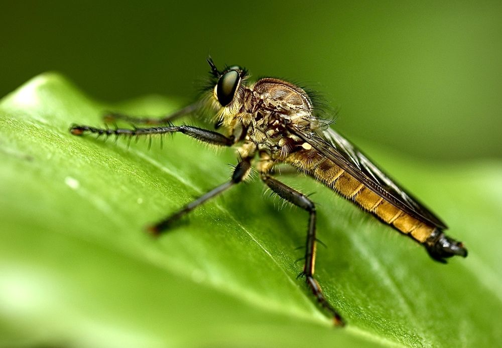 Photograph by Vivek Kuber