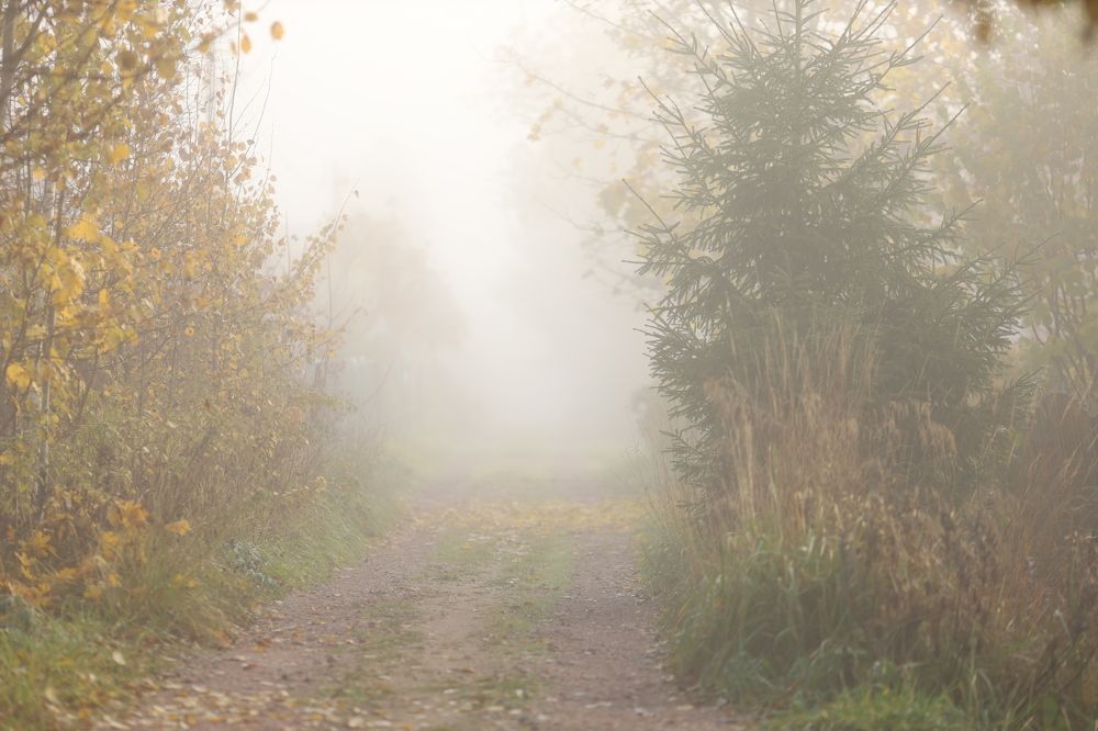 Фотография автора Станислава Гордеева