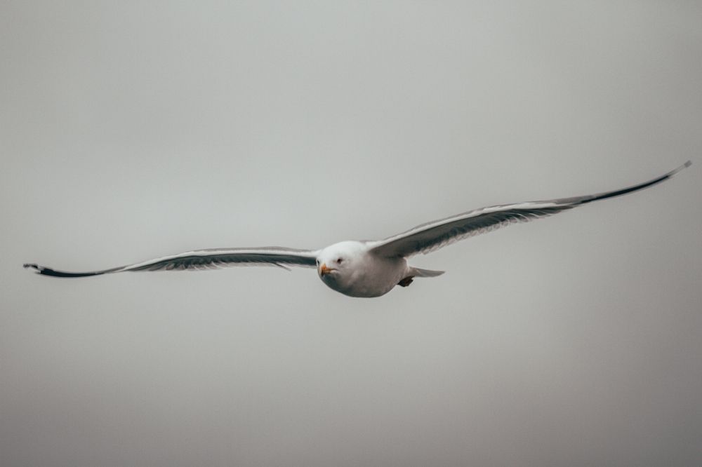 Photograph by Павел Дженбаз