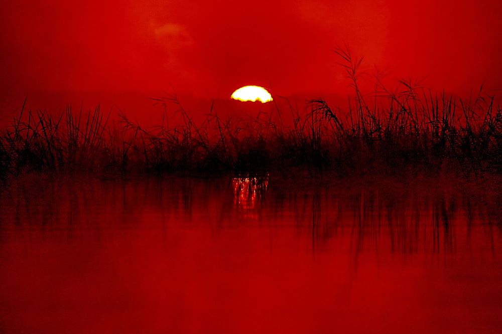 Photograph by 