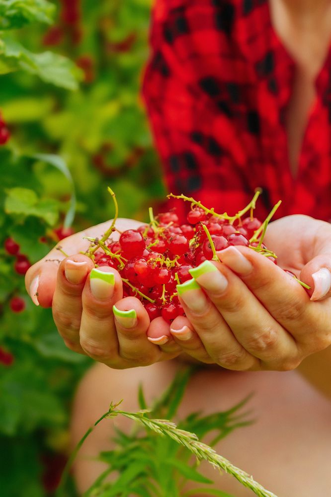 Фотография автора Любовь