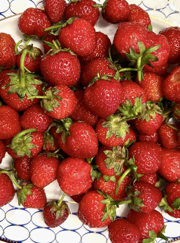 Photograph by Амирова Анар