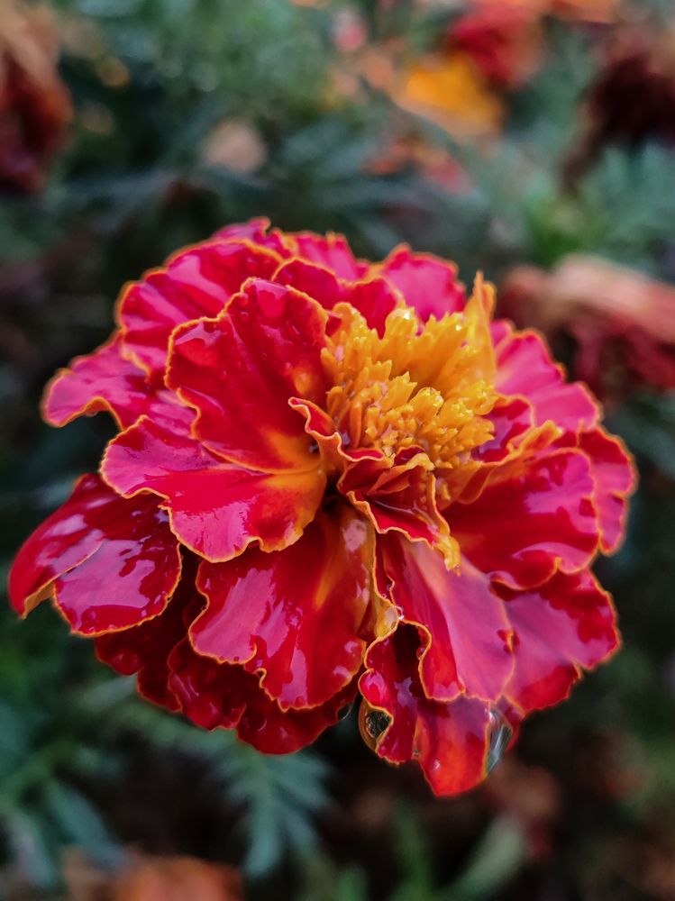 Фотография автора Любовь