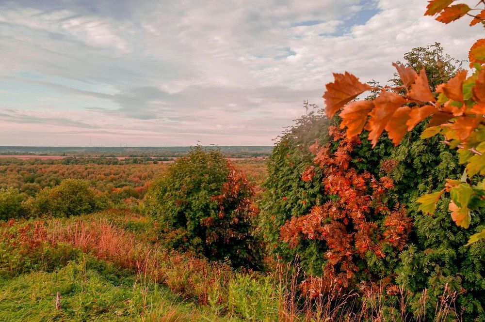 Photograph by Ольга Ситникова