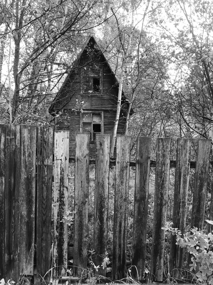 Photograph by Надежда Ткаченко