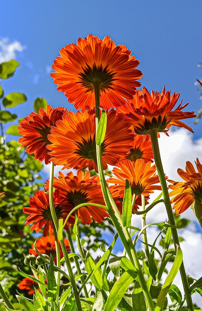 Photograph by Ольга Ситникова