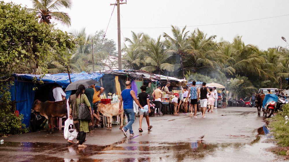 Photograph by Vineeth V V