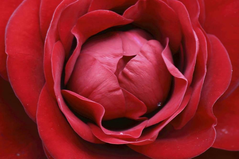 Photograph by Татьяна Февральская